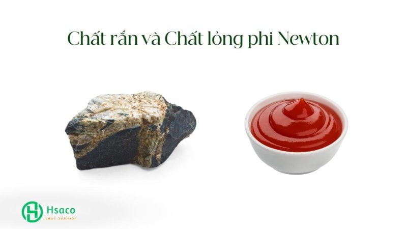 Chất lỏng phi Newton và chất rắn