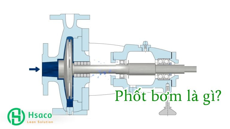 Phốt bơm là gì